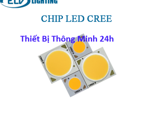 Chiếc Led Cree của mỹ Được sử dụng cho đèn năng lượng mặt trời